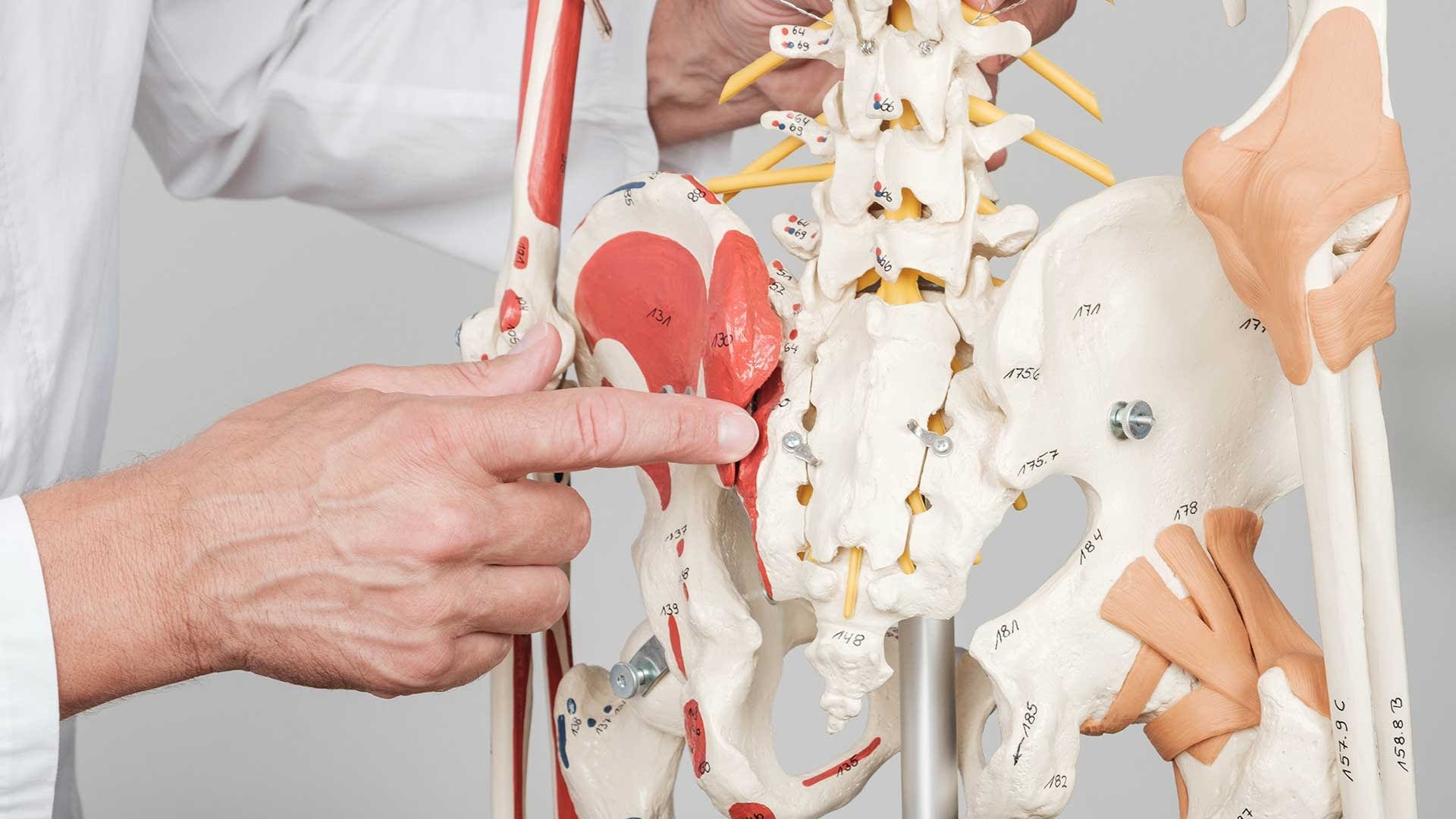 Ankilozantni spondilitis Ankilozantni-spondilitis