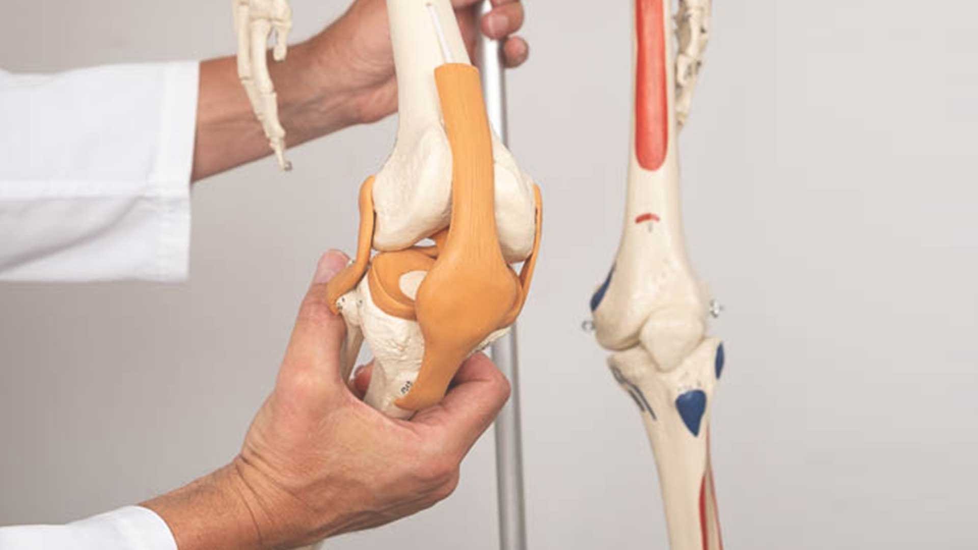 Osteoartritis / artroza osteoartritis-artroza